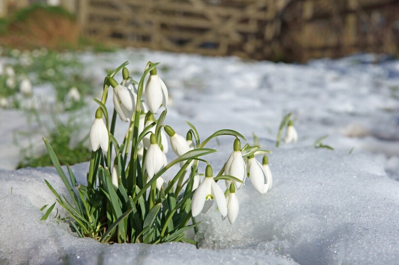 Quaker communities are sometimes fragile, but also resilient – finding ways to support each other in troubled times. Image: Shutterstock