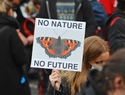 Why supporting the Climate and Nature Bill matters