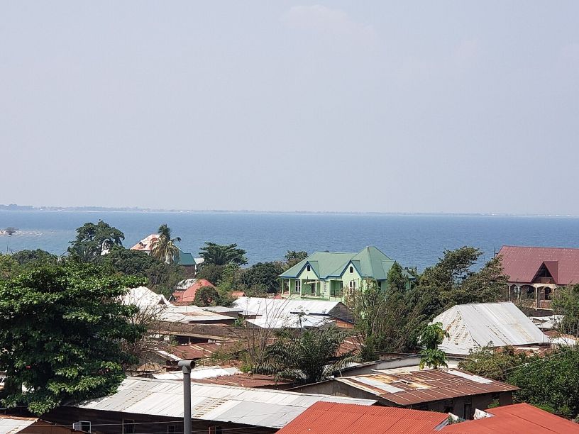 Houses and trees in front of lake