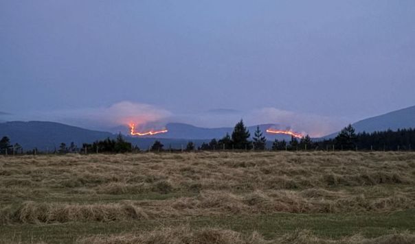 Landscape of dry grass and hills with a strip of fire in the distance